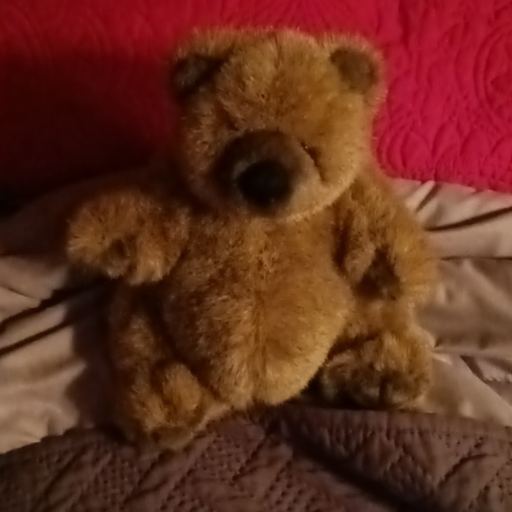 Stuffed animal